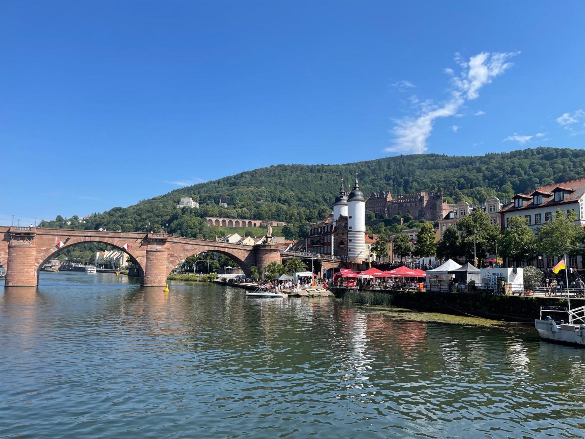 Boardinghouse Goethehaus Apartment Heidelberg Ngoại thất bức ảnh
