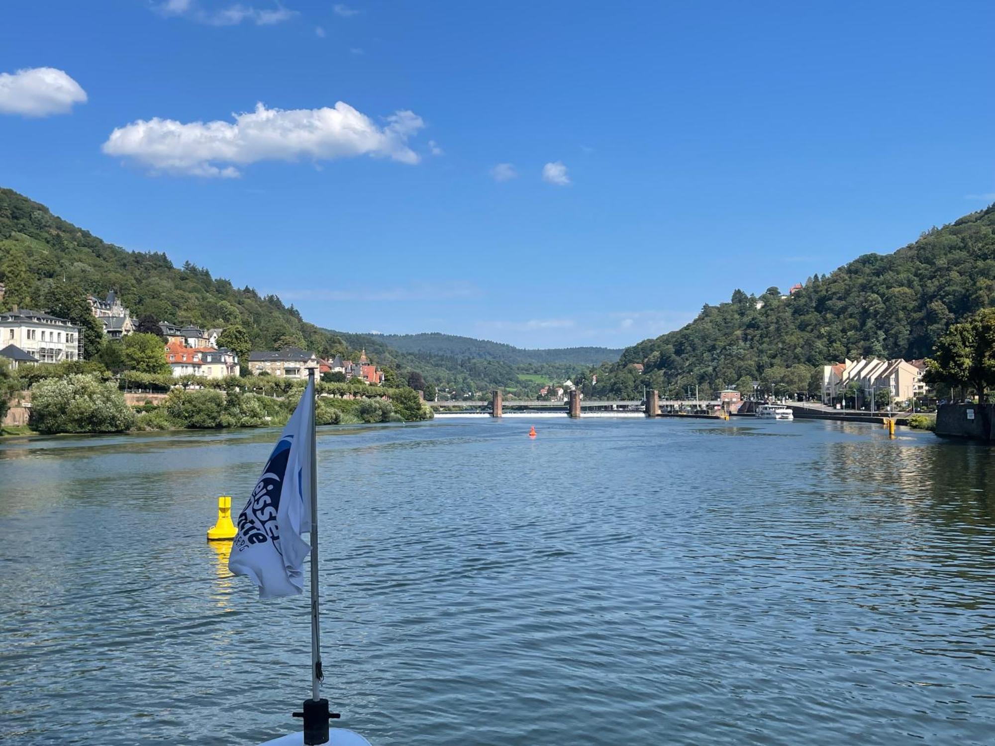 Boardinghouse Goethehaus Apartment Heidelberg Ngoại thất bức ảnh